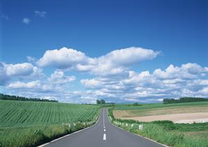 埼玉県上尾市のスポーツカー買取の専門店