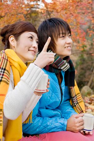 【徹底解説】トラック無料査定のポイントと全国対応で高く売る方法