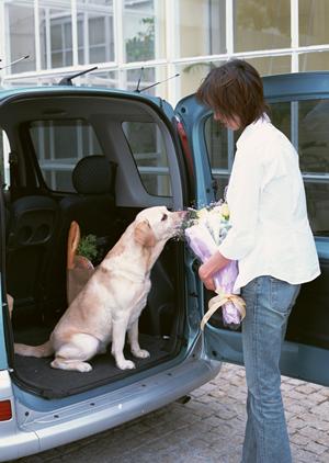 車検費用の中で削ることができるものは