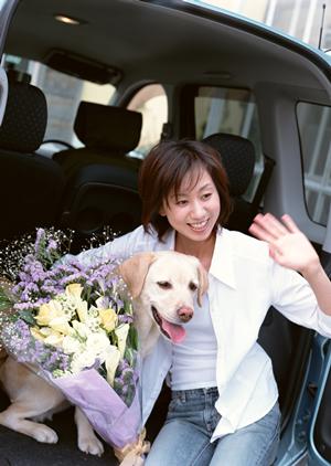 信頼とコスパ重視の車検料金ガイド｜安心して選べる最適プランとは