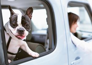 車検大手の選び方とメリットを徹底解説！安心・信頼のサービスを見極めるポイント